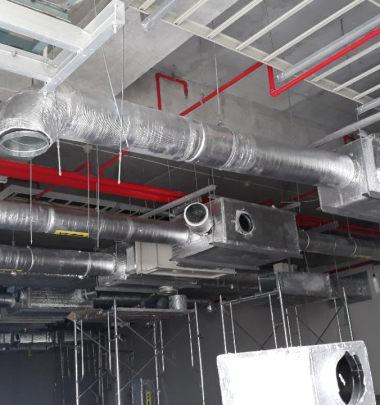 Thi Công Hệ Thống Kho Lạnh Tại Vũng Tàu